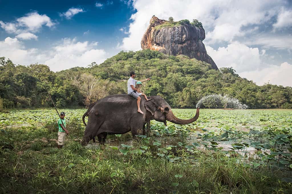 Tourist on an elephant with Sigiriya Rock Fortress in the background, Sri Lanka