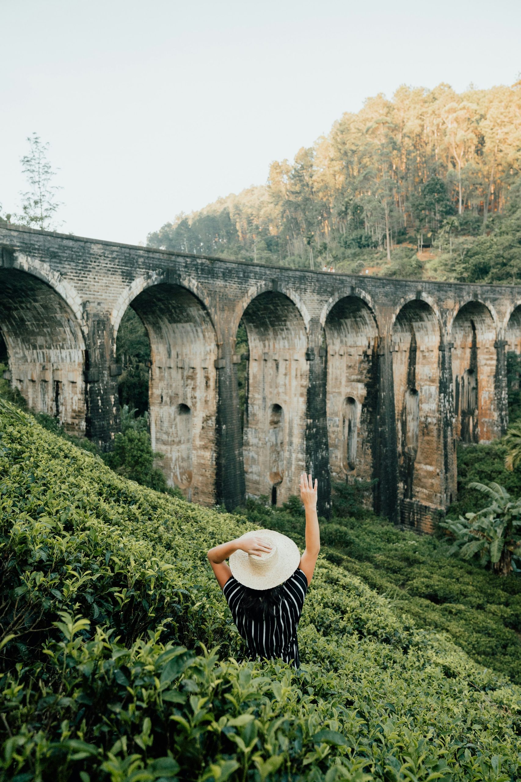 Girl standing in a tea plantation looking up at the Nine Arch Bridge in Sri Lanka